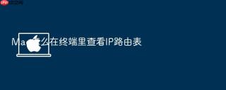 mac怎么在终端里查看ip路由表