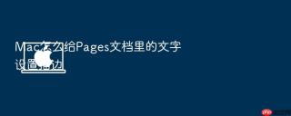 mac怎么给pages文档里的文字设置描边