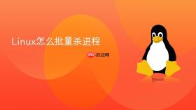 Linux怎么批量杀进程