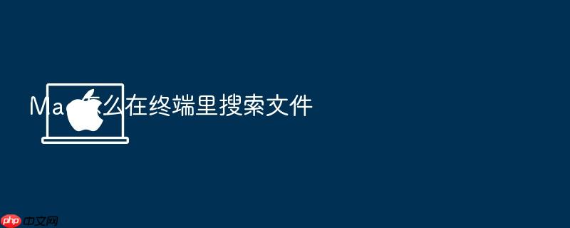 mac怎么在终端里搜索文件