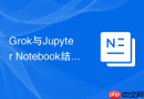Grok与Jupyter Notebook结合：在交互式开发环境中调用API