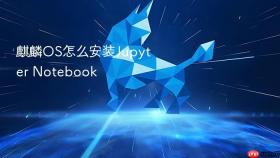 麒麟os怎么安装jupyter notebook
