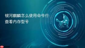 银河麒麟怎么使用命令行查看内存型号