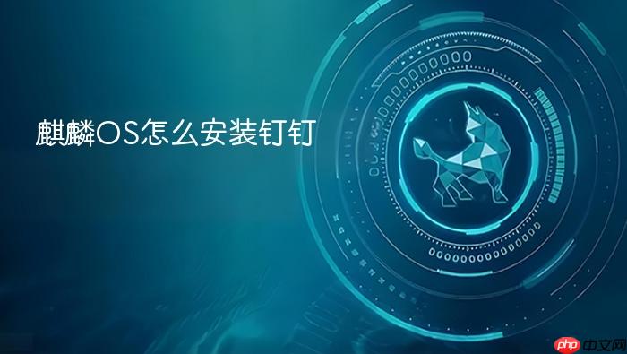 麒麟os怎么安装钉钉