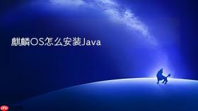 麒麟OS怎么安装Java
