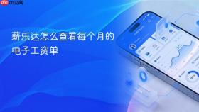 薪乐达怎么查看每个月的电子工资单