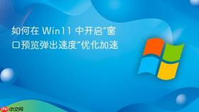 如何在 win11 中开启“窗口预览弹出速度”优化加速