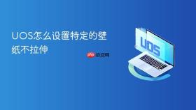 uos怎么设置特定的壁纸不拉伸