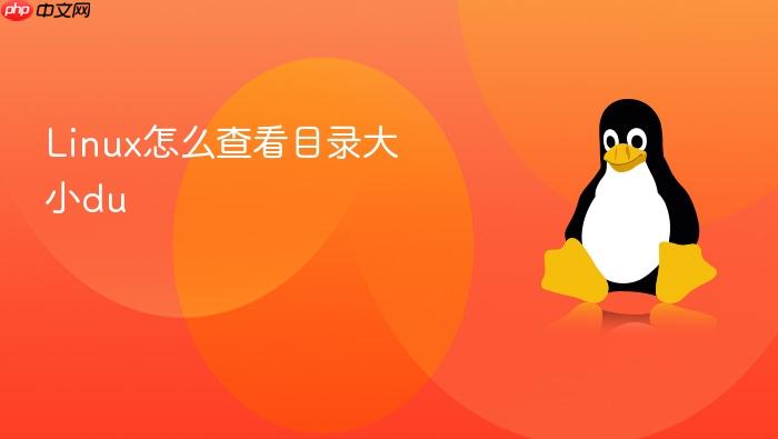 linux怎么查看目录大小du