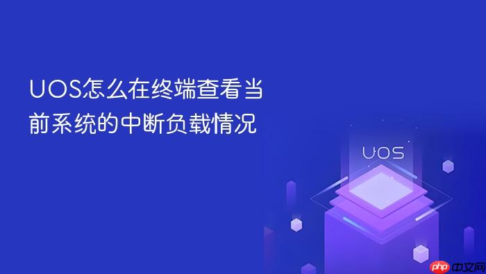uos怎么在终端查看当前系统的中断负载情况
