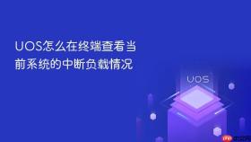 uos怎么在终端查看当前系统的中断负载情况
