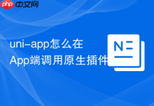 uni-app怎么在App端调用原生插件