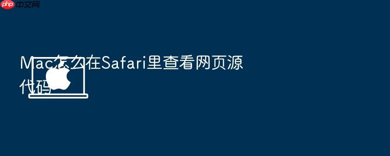 mac怎么在safari里查看网页源代码