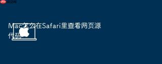 mac怎么在safari里查看网页源代码