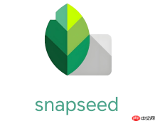 Snapseed怎么调出复古胶片感色调