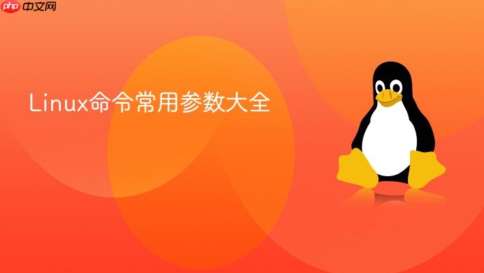 linux命令常用参数大全