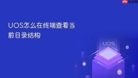 uos怎么在终端查看当前目录结构