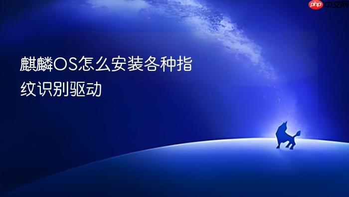 麒麟os怎么安装各种指纹识别驱动