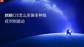 麒麟OS怎么安装各种指纹识别驱动