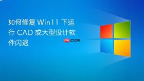 如何修复 Win11 下运行 CAD 或大型设计软件闪退