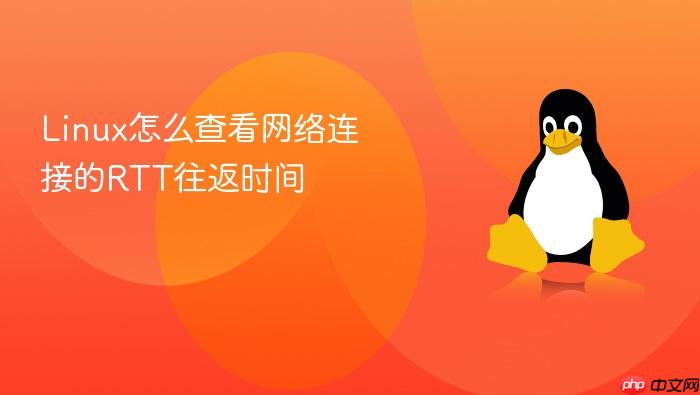 linux怎么查看网络连接的rtt往返时间