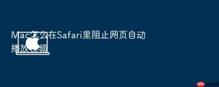 mac怎么在safari里阻止网页自动播放视频