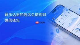 薪乐达里的钱怎么提现到微信钱包