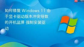 如何修复 Windows 11 由于显卡驱动版本冲突导致的开机蓝屏 强制安装驱动