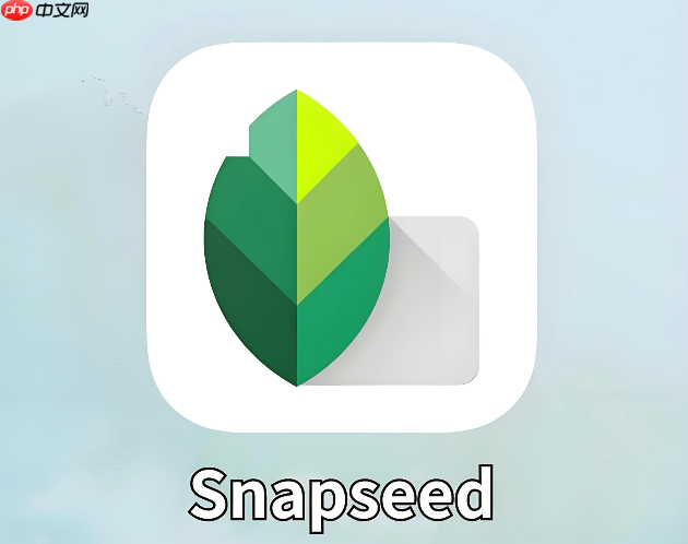 snapseed怎么去掉自拍照片里的痘痘黑眼圈