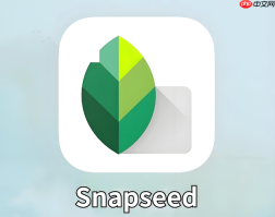 Snapseed怎么去掉自拍照片里的痘痘黑眼圈