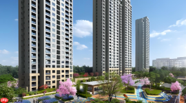 十房网怎么获取最新的楼市政策解读报告?