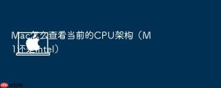 mac怎么查看当前的cpu架构(m1还是intel)