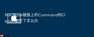 MacBook键盘上的Command和Option键坏了怎么办