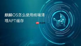 麒麟OS怎么使用终端清理APT缓存