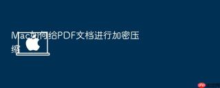 mac如何给pdf文档进行加密压缩
