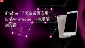 iPhone 17怎么设置应用白名单 iPhone 17流量限制设置
