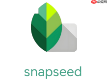 snapseed怎么把黑白照片修复成彩色