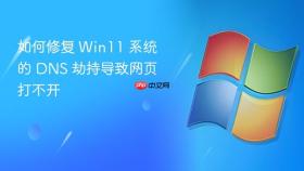 如何修复 win11 系统的 dns 劫持导致网页打不开