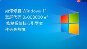 如何修复 Windows 11 蓝屏代码 0x000000 ef 修复系统核心引导文件丢失故障