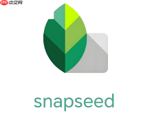 snapseed怎么修复照片里的电线杆