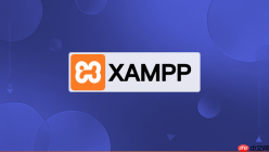 XAMPP支持WebDAV：配置Apache实现本地局域网私有云盘文件共享