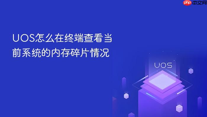 uos怎么在终端查看当前系统的内存碎片情况