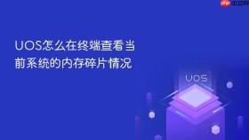 uos怎么在终端查看当前系统的内存碎片情况