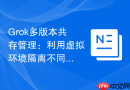 Grok多版本共存管理：利用虚拟环境隔离不同版本的依赖库
