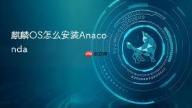 麒麟os怎么安装anaconda