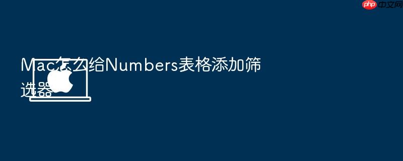 mac怎么给numbers表格添加筛选器