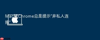 Mac版Chrome总是提示“非私人连接”
