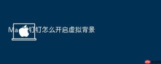 Mac版钉钉怎么开启虚拟背景