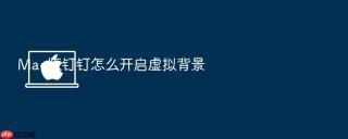 mac版钉钉怎么开启虚拟背景