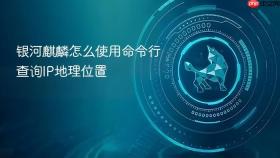 银河麒麟怎么使用命令行查询IP地理位置